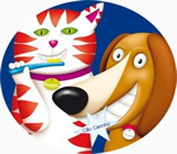 Banho e Tosa de Animais em Rio Grande