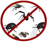 Dedetizadoras em Rio Grande