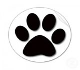 Pet Shops em Rio Grande